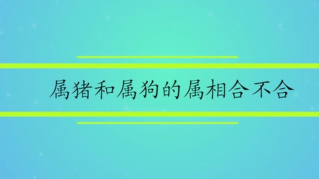 属猪和属狗的属相合不合