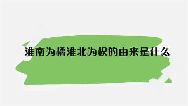 淮南为橘淮北为枳的由来是什么