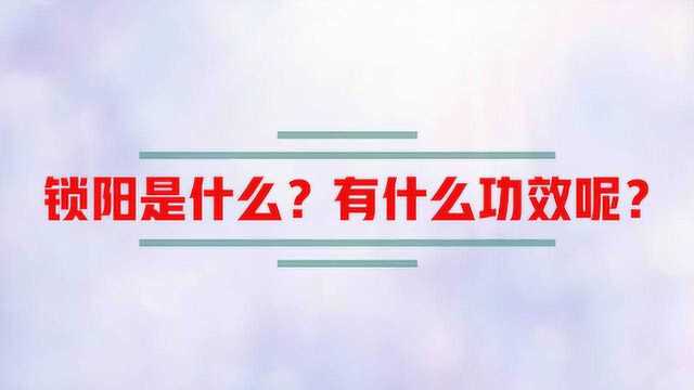 锁阳是什么?有什么功效呢?