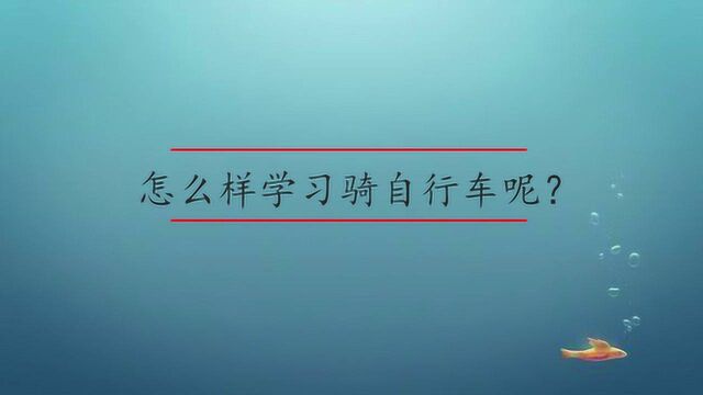 怎么样学习骑自行车呢?