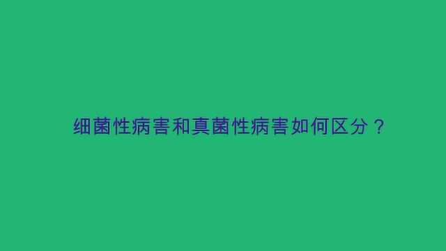 细菌性病害和真菌性病害如何区分?