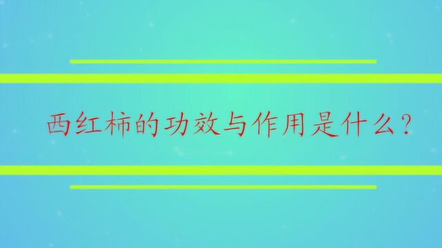 西红柿的功效与作用是什么?