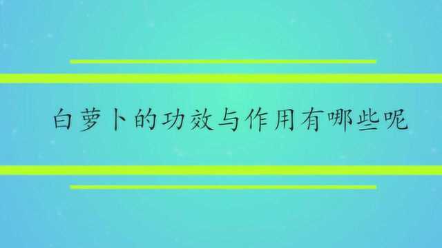 白萝卜的功效与作用有哪些呢