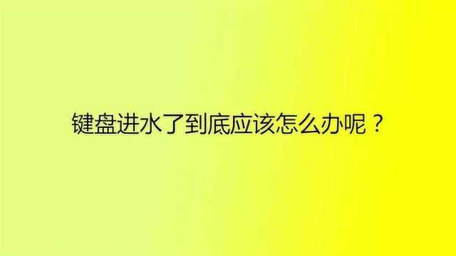 键盘进水了到底应该怎么办呢?