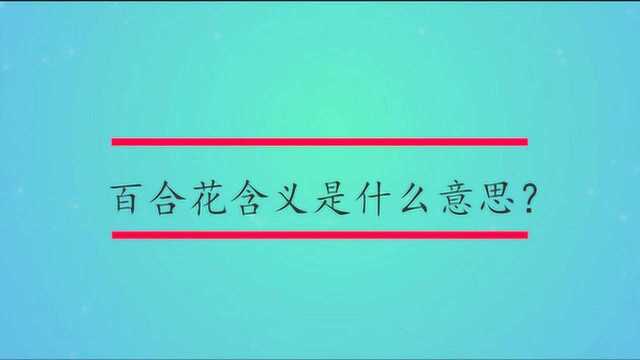 百合花含义是什么意思?