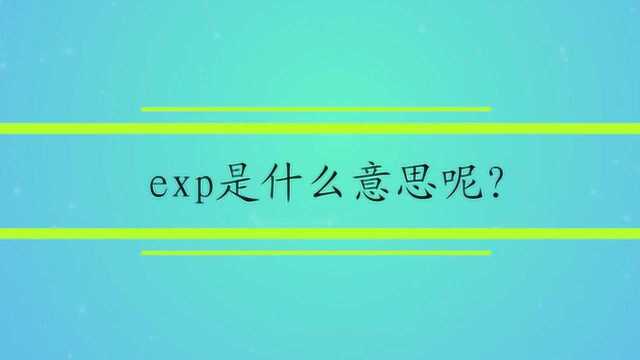 exp是什么意思呢?