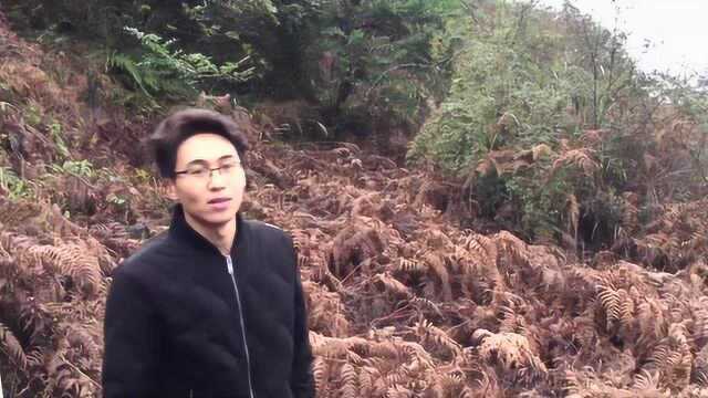 寻龙点穴实战风水宝地,杨公风水大师耿明远教您看龙脉