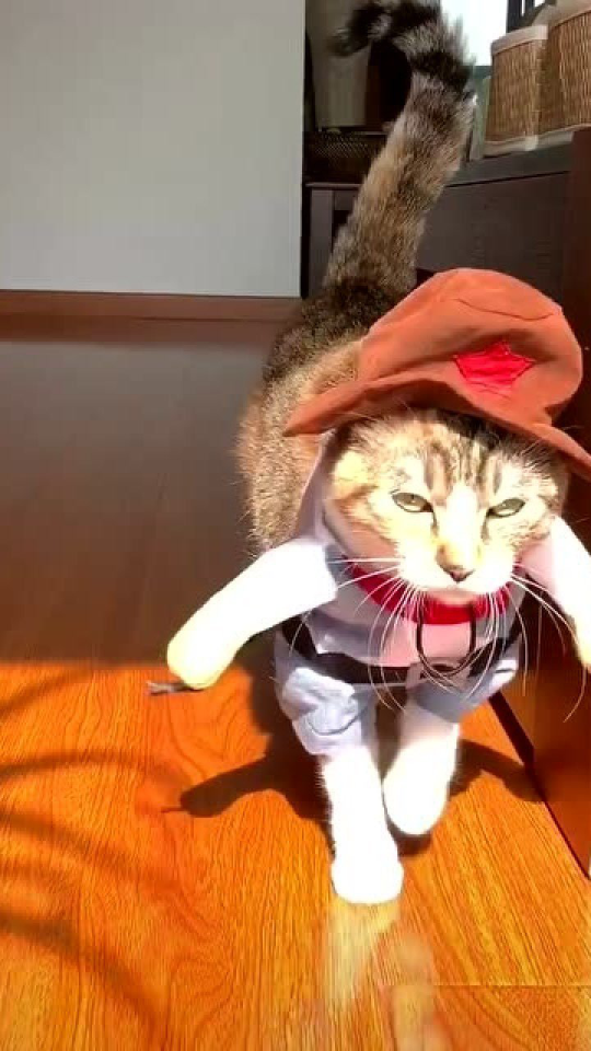 Thumbplayer Poster Plugin Image