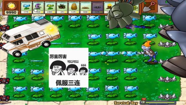 植物大战僵尸:超慢节奏!冰豆豆VS僵尸博士能打很久了!