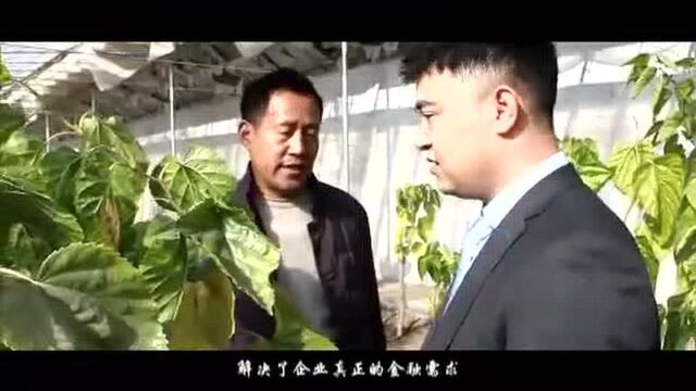 农行格尔木分行小微企业综合金融服务宣传片