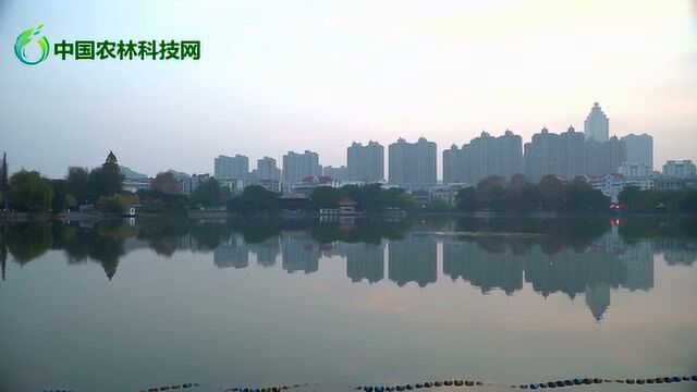 半城水与山,鸠兹烟水地,夕阳下芜湖镜湖美成一幅水墨画卷