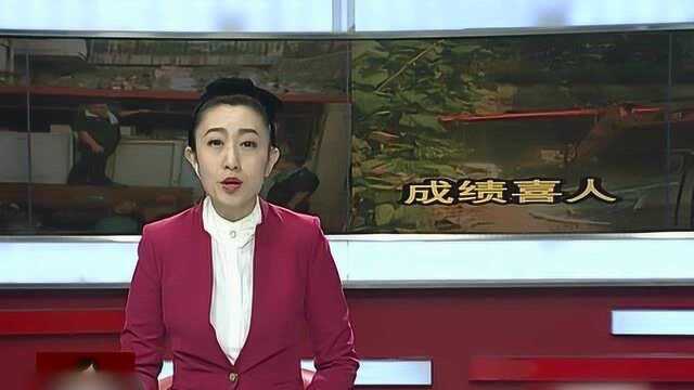 市纪委监委公布,第一批专项整治漠视侵害群众利益问题工作成果