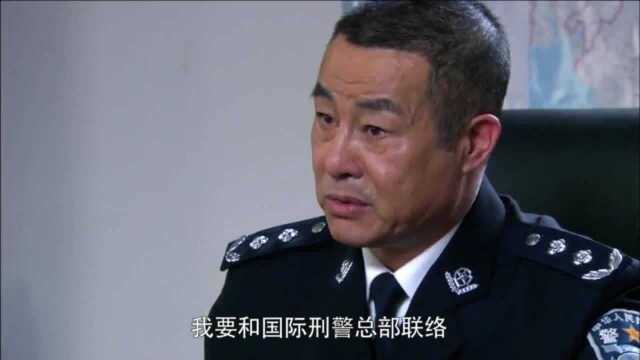 场面一度混乱,蝎子给警方提供情报,让他们对公司进行打击报复