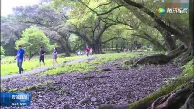 霞浦国际光影文化创意开发项目和杨家溪风景区项目签约仪式举行!