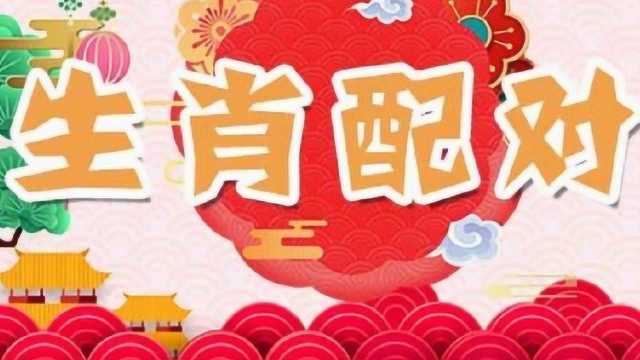 “最不适合结婚”的3对生肖,水火不容,命里相克,很难一起白头