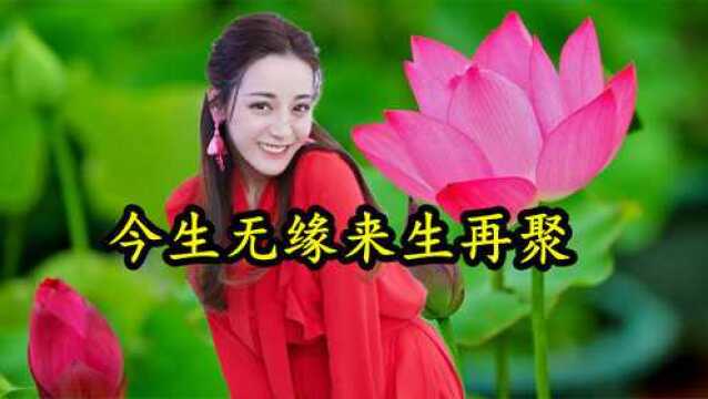 情歌MV:《今生无缘来生再聚》滚滚红尘相遇,走到一起不容易