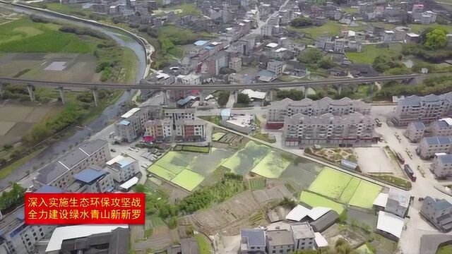 新罗:“五大行动”推进农村人居环境整治