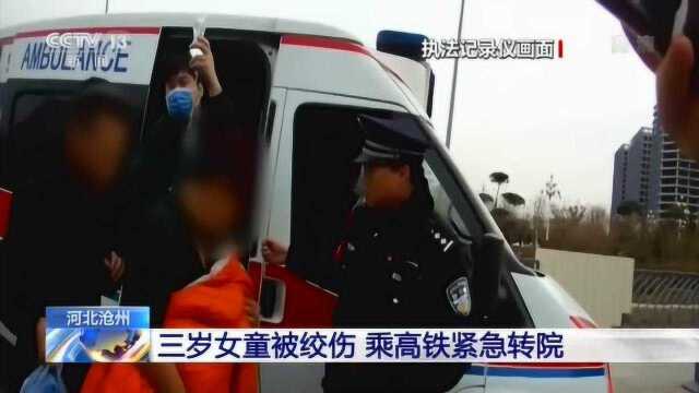 河北沧州:三岁女童被绞伤 乘高铁紧急转院