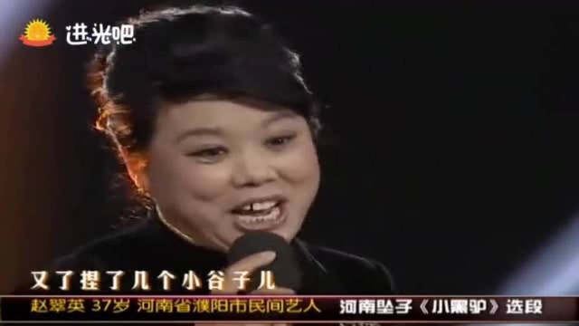 河南坠子《小黑驴》选段,赵翠英37岁,闲言碎语不多论