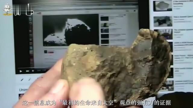 陨石上发现碱基,颠覆达尔文进化论,地球的生命或来自太空