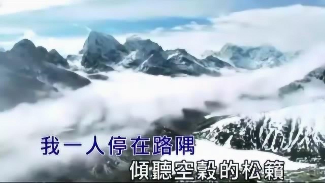 张雨生经典歌曲《渺小》