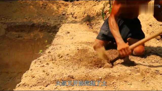 荒野建筑师在非洲建房,被金主看中,特地给他建了个上亿的建筑