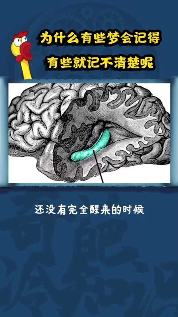 来说一说你记得最清楚的一次梦是什么呢?腾讯视频