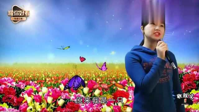 网络热歌酒醉的蝴蝶花儿随风飞,蝴蝶为花醉