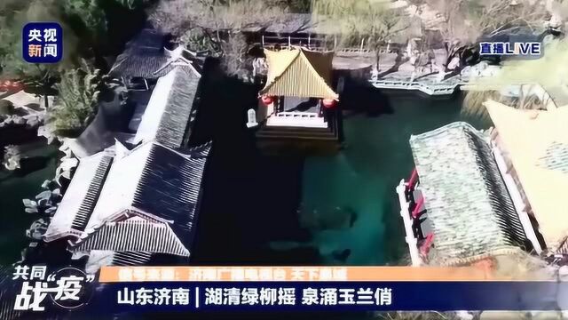 央视直播济南大明湖、趵突泉春色,其实济南的春天是这样的!