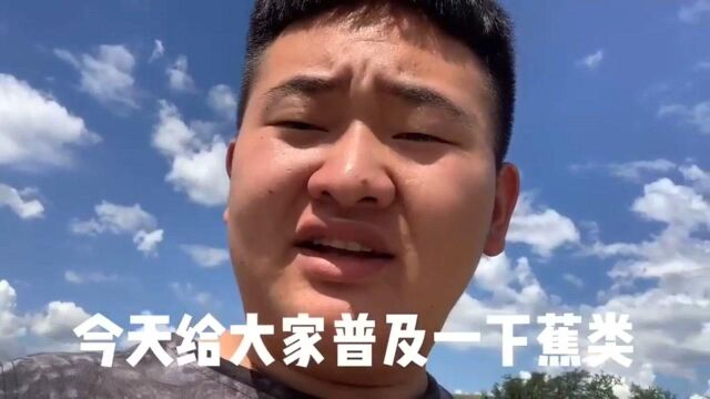 普及一下蕉类,比如我想跟你撒娇