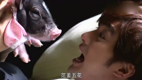 梦境奇遇,两头白猪相争,竟有一自称龙者 梦境奇遇,两头白猪相争,竟有一自称龙者