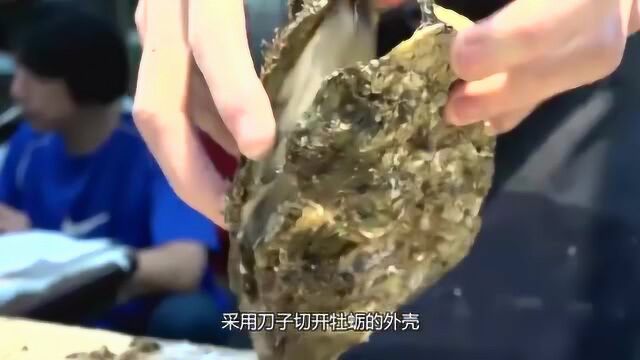 大姐街边卖海鲜,10块钱1个生着吃,食客:味道鲜美