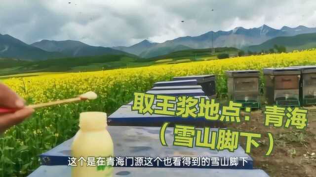 蜂王浆也分等级,“糖王”蜂王浆排名靠前,蜜源和新鲜与否说品质