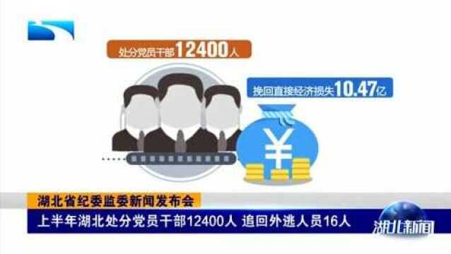 上半年湖北处分党员干部12400人,追回外逃人员16人