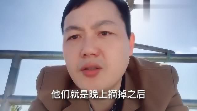 广东东莞:服装厂里一天要干十三个小时,大家都是怎样度过的