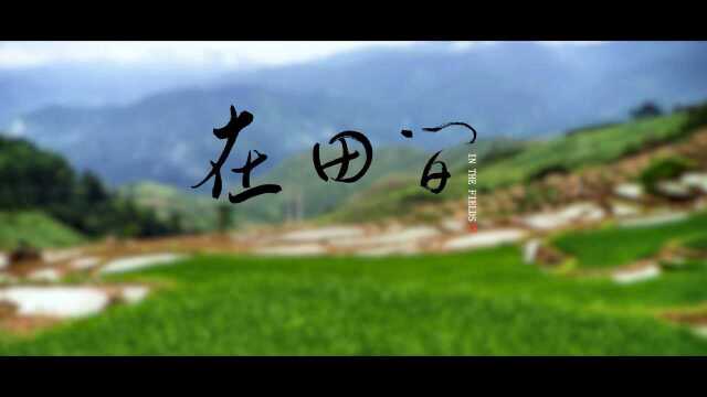 手机微纪录片|在田间