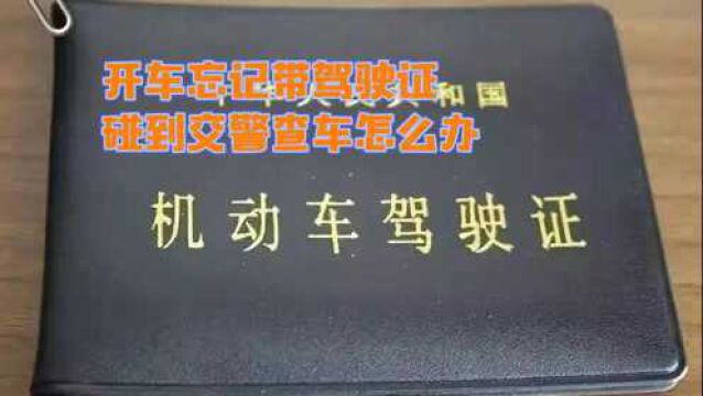 开车忘记带驾驶证,碰到交警查车怎么办?教你一招,乖乖放你走