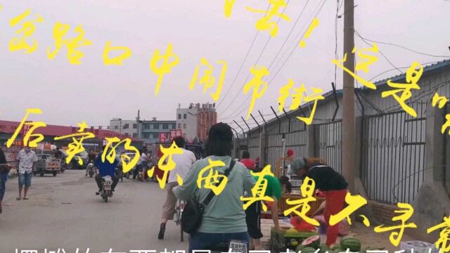 河北沧州岔路口闹市街,吃不了的拿出来卖,一看最后我去!这是啥