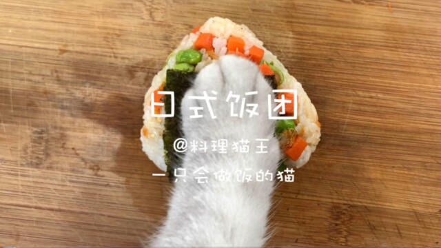 【料理猫王】猫咪做的日式饭团,好看又好吃