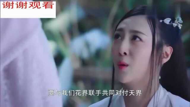 香蜜沉沉烬如霜:锦觅惨遭遇险,原来是她告的密