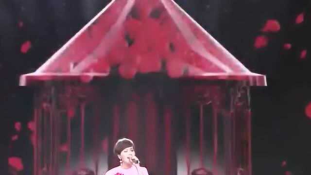 歌手陈明演唱《等你爱我》,歌声婉转直冲云霄,经典歌曲的魅力!