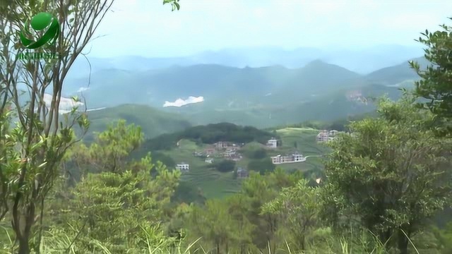 外山乡:推进康养旅游 打造长寿小镇