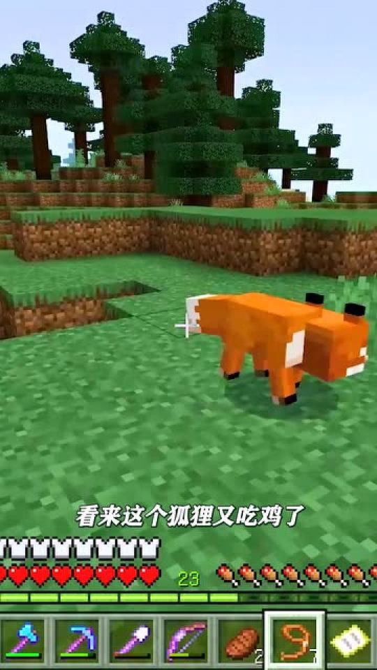 我的世界生存日记：找到三个狐狸，带回家，做个狐狸基地
