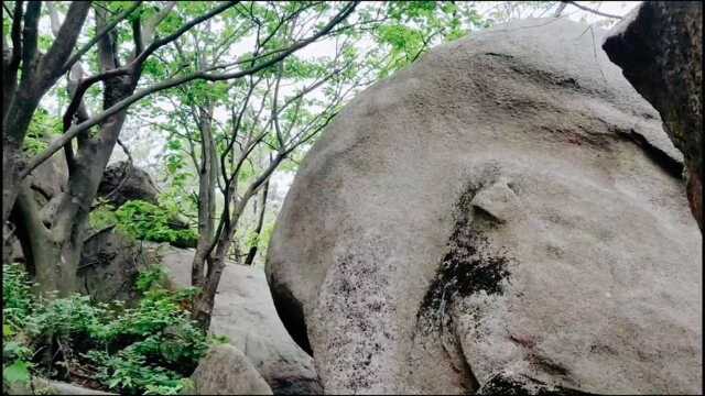 曲径通幽处 ,禅房花木深,这风景寂静悠远