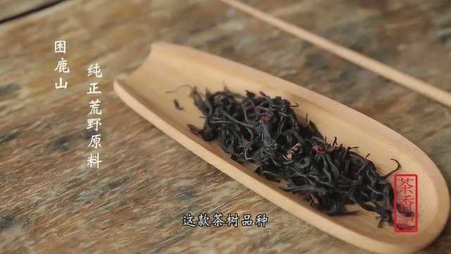 云南荒野红茶