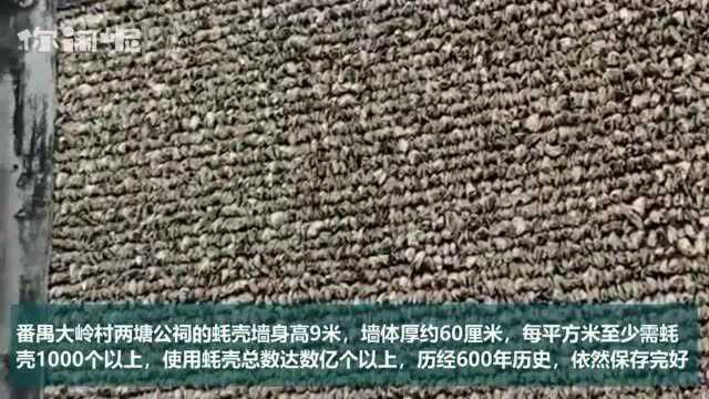 用生蚝壳建造房屋,堪称中国最牛“蚝宅”,600年仍完好无损