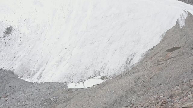 (电视通稿ⷥ›𝥆…ⷧ”Ÿ态)天山一号冰川保护区环境改观明显