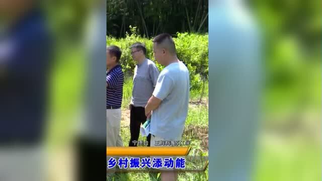 科技特派员服务基层 为乡村振兴添动能