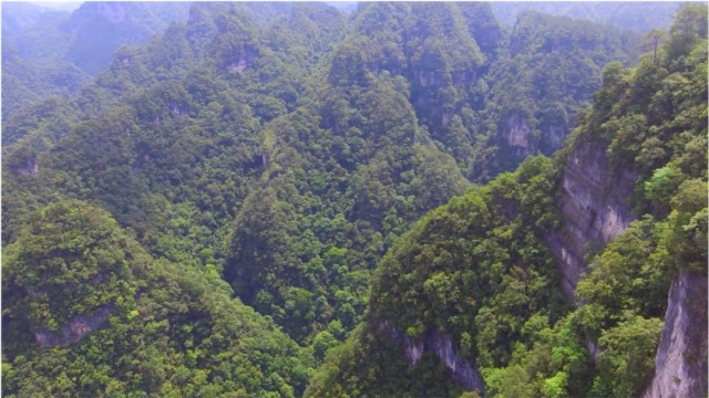 航拍贵州施秉云台山,山峰千奇百怪,大自然真是太神奇了