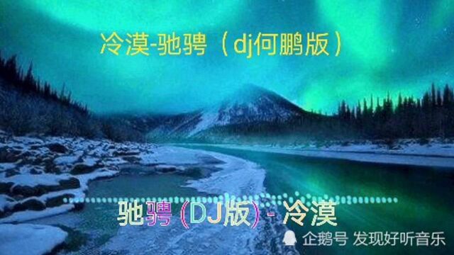 冷漠驰骋(dj何鹏版)